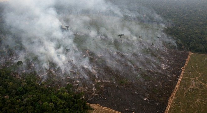 Originalmente, a MP editada pelo governo de Jair Bolsonaro dizia respeito à transferência de terras da União para os governos dos Estados do Amapá e de Roraima