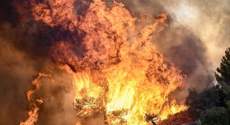 Foto mostra chamas queimando a vegetação durante um incêndio perto de Prodromos, a 100km de Atenas