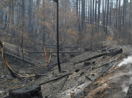 Incendio en la Patagonia argentina deja 15 personas desaparecidas