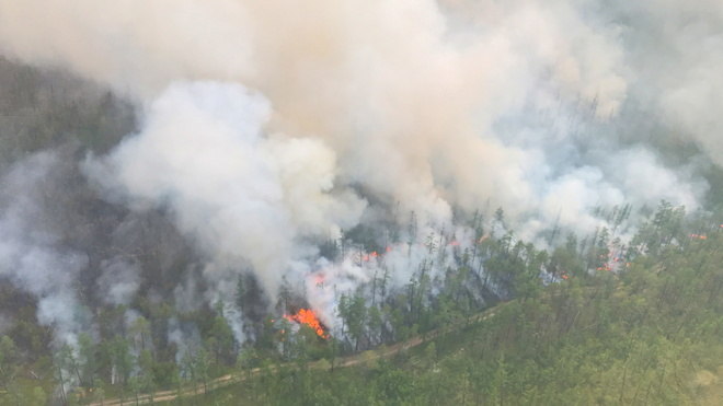 O serviço de proteção aéreo de florestas da Rússia, a agência especializada no cuidado e contenção de incêndios florestais, disse que mais de 5 mil pessoas estavam trabalhando para controlar 197 focos de incêndios ativos na quarta-feira (15)