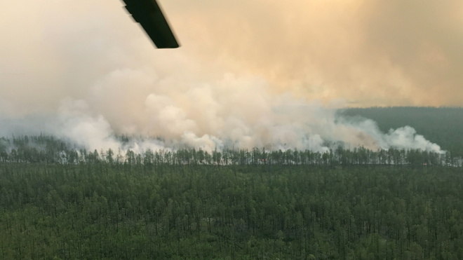Segundo o jornal The Moscow Times, os incêndios são causados pelo aumento anormal das temperaturas desde janeiro e pelo solo seco