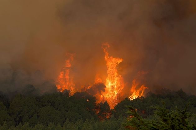 Árvores pegam fogo em incêndio florestal em La Esperanza, na ilha de Tenerife (Espanha)