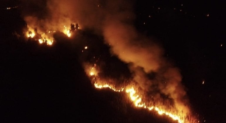 Incêndio toma conta de vinhedos e florestas em Itata e Bio Bio, no Sul do Chile