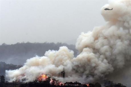 Incêndios na Austrália já destruíram 5,5 milhões de hectares