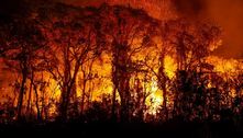 Recorde: Pantanal tem mais de 3 mil incêndios em novembro 