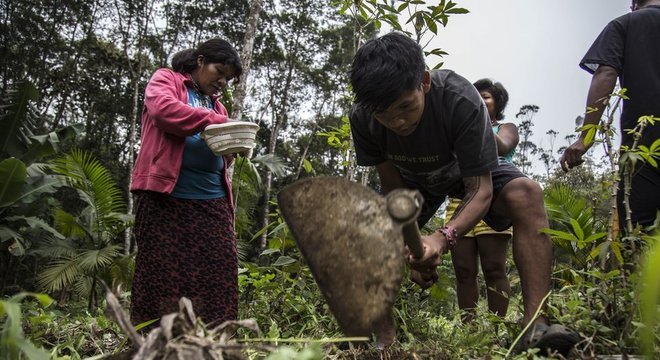Mulheres são 40% dos agricultores guarani na TI Tenondé Porã