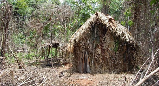 Cabana construído pelo "índio do buraco" no meio da mata