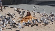 Influencer se cobre com R$ 5,5 mil em fritas para alimentar gaivotas