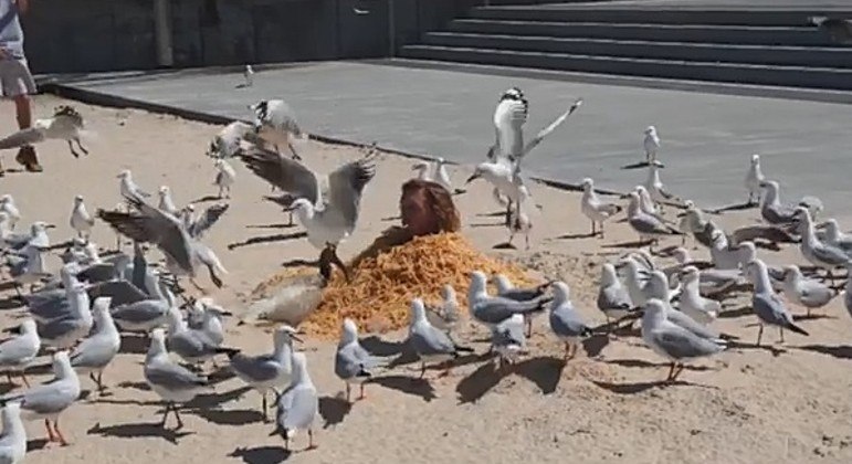 Influencer foi coberto por batatas fritas para alimentar gaivotas na Austrália
