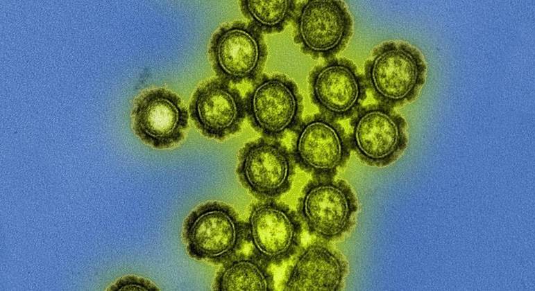 Assim como o H1N1, o H3N2 é um subtipo de influenzavírus A