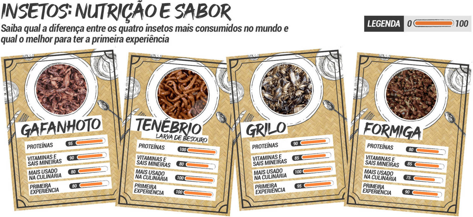 As características dos insetos comestíveis (Arte/R7)