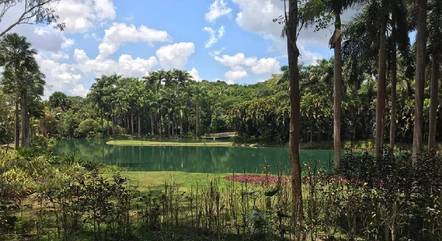 Instituto Inhotim fica em Brumadinho (MG)