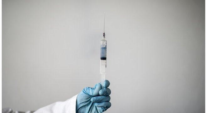 Uma vez que suas conchas são perfuradas perto do coração, cerca de 30% do sangue é colhido