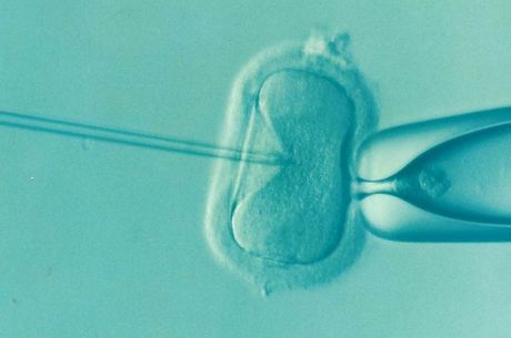 Decisão leva em conta solicitação de fertilização in vitro