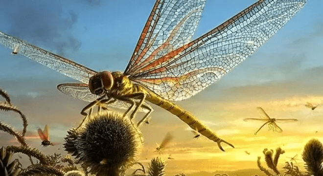 Insetos gigantes - principais exemplares de criaturas do passado