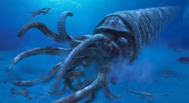 Insetos gigantes - principais exemplares de criaturas do passado