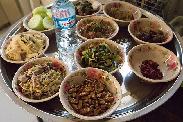Insetos - São vários, consumidos fritos ou assados, na Tailândia. Nos pratinhos, besouros, abelhas, gafanhotos, cupins, moscas, cigarras, baratas, etc. A maioria é servida empanada, com molho para acompanhamento. 