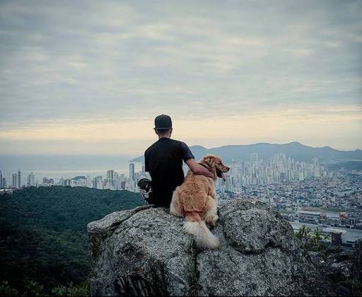 Balneário Camboriú (SC)Entre ter mil amigos e um cachorro... Eu ficaria com vc!Pois igual à tua fidelidade, ao teu carinho e ao teu amor nãotem igual!!! #shurastey #fiel #dog #amigo #amor #forever #goldenretriever#montanha