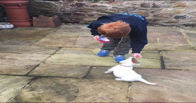 Harry Mainwaring, teve uma fobia de cÃ£es. Ele foi um
dos pacientes da Sala Azul, que superou seus medos utilizando os recursos da InteligÃªncia
artificial imersiva. ApÃ³s o tratamento, o garoto tem um companheiro, o
cachorro WilfyLeia tambÃ©m:Â ' target='_self'>Cientista descobre que abelhas podem somar e subtrair nÃºmeros<br>