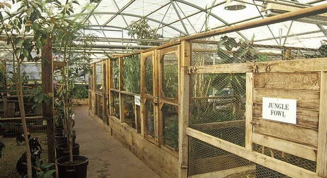 Para recriar o ecossistema artificial, os pesquisadores recolheram recursos de várias partes do mundo