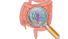 Microbiota intestinal pode influenciar no desenvolvimento de câncer colorretal