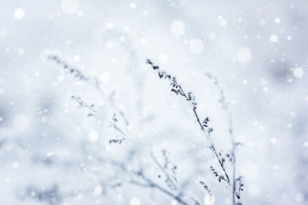 A onda de frio desta semana
provocou a ocorrência de quatro precipitações invernais distintas nas regiões Sul e Sudeste do Brasil: neve, chuva congelada, sincelo e geada. O R7 conversou com a meteorologista
Maria Clara Sassaki, do Climatempo, para entender as diferenças entre cada uma
delas*Estagiária do R7 sob supervisão de Pablo Marques