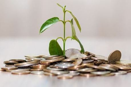 Tesouro Selic virou porta de entrada dos poupadores