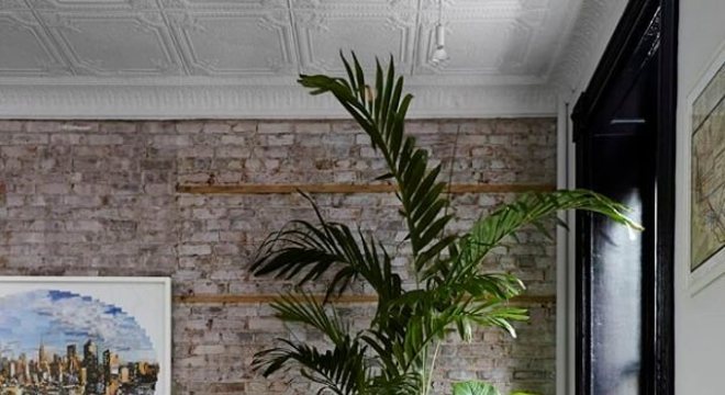 Invista em plantas para quarto e transforme a sua decoração