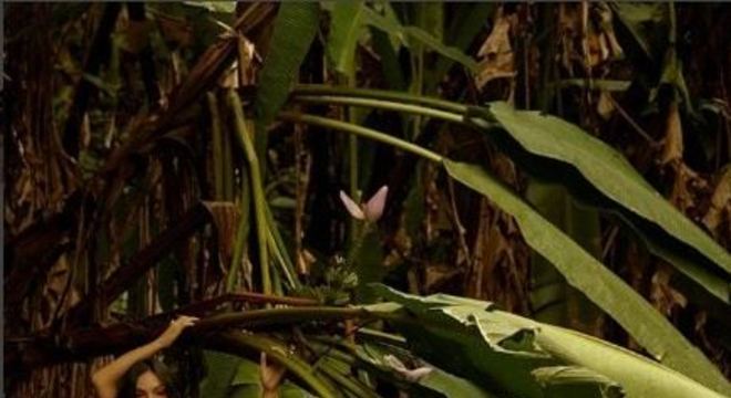 isis valverde ensaio gestante