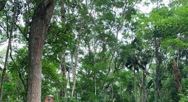 isis valverde foto filho