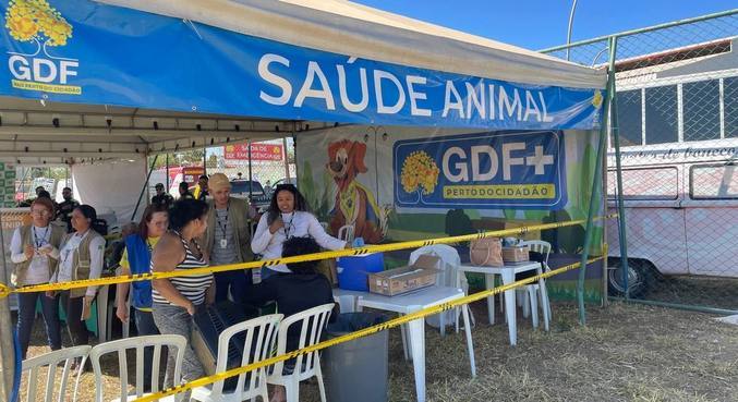 Foram montados postos de vacinação gratuita para animais domésticos 