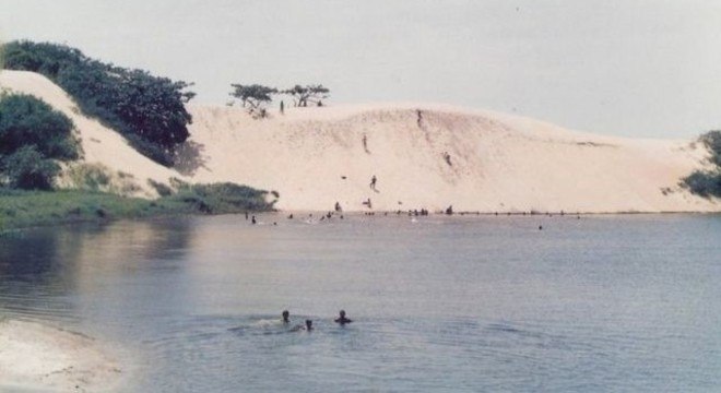 "Um dos papéis da vegetação de dunas é segurar o processo de transporte da areia pelo mar, ondas ou ventos", explica Clemente Coelho Júnior, da UPE