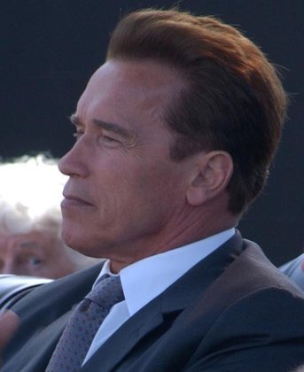 Já adulto, angustiado por saber o que pai foi do Partido Nazista, Schwarzenegger encomendou uma investigação e concluiu que ele não havia cometido, diretamente, nenhuma atrocidade. 