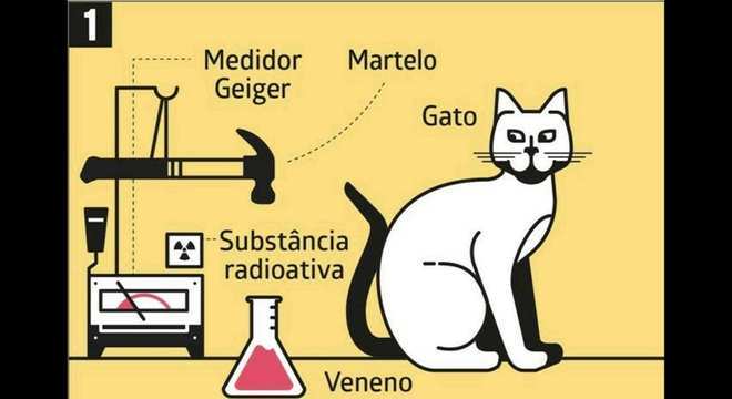 Já ouviu falar sobre a teoria do gato de schrödinger? Confira mais detalhes