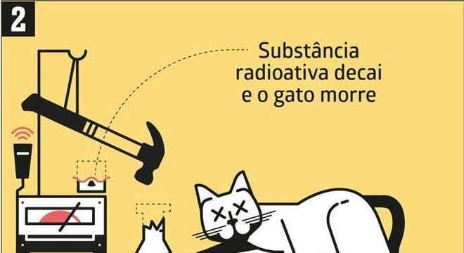 Já ouviu falar sobre a teoria do gato de schrödinger? Confira mais detalhes