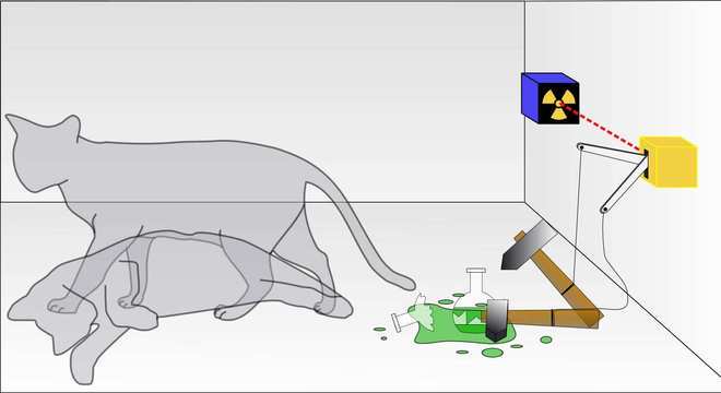 Já ouviu falar sobre a teoria do gato de schrödinger? Confira mais detalhes