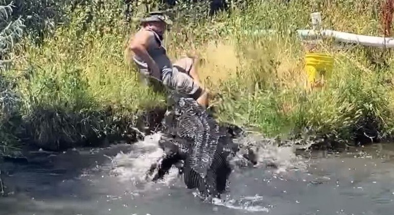 Tratador passa aperto após jacaré errar o alvo e quase abocanhar a perna dele