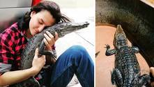 Carne de primeira e cama: homem cria crocodilo como cachorro e mostra a rotina com o pet