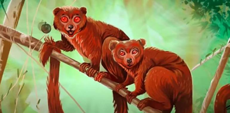 Janaí - É um macaco vampiro, parecido com lêmure, de pelos e olhos vermelhos, que ataca à noite. Em algumas versões, ele ganha uma cara de coruja. Se a pessoa tiver bom coração e olhar chorando para ele, a maldição passa. 