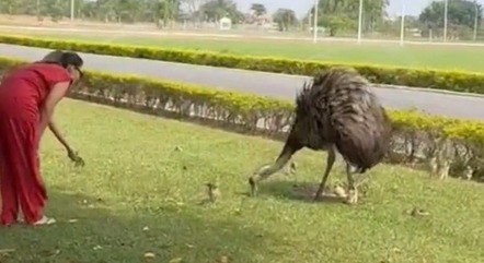 Janja alimenta emas no Palácio da Alvorada