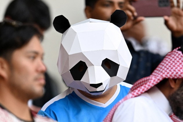 Torcedor criativo foi de urso panda assistir Japão e Costa Rica