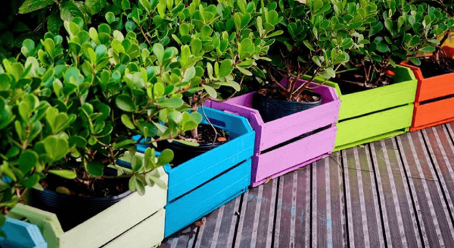 Jardim com caixotes coloridos