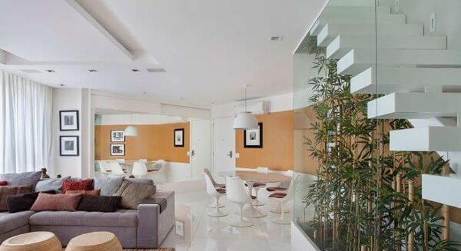 jardim-de-inverno-escada-com-fechamento-de-vidro-e-plantas-em-bambu-para-jardim-de-inverno-revistavd-183829-proportional-height_cover_medium