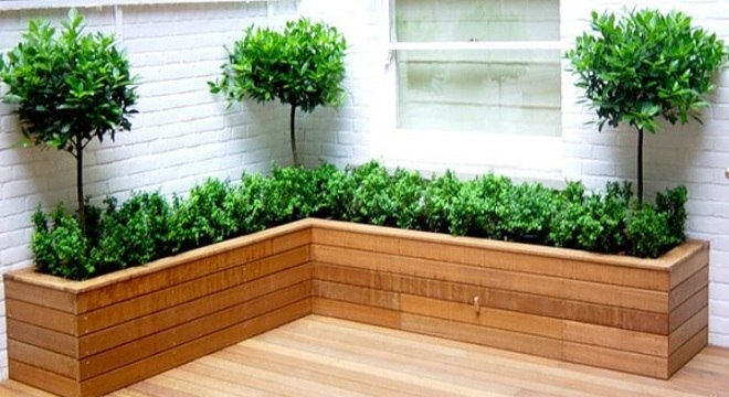 Jardim-simples-canteiro-de-madeira
