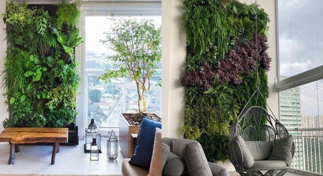 Jardim vertical: saiba como cultivar plantas que quase não ocupam espaço