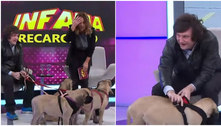 Javier Milei, presidente eleito da Argentina, é tutor de cinco cachorros clonados; entenda