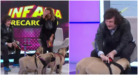 Javier Milei já esteve com seus cachorros em um programa de TV argentino