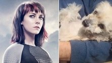 Atriz de 'Jogos Vorazes' ajuda a perseguir homem que maltratava cachorro na rua: 'Foi assustador'