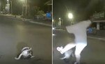 Uma jiboia foi obrigada a desistir do gato que estrangulava para comer, depois de levar uma bicuda e uma paulada de moradores de Tak, na Tailândia