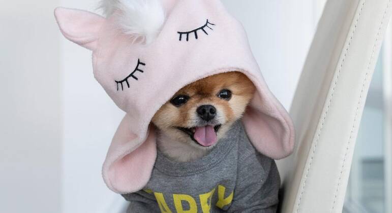 jiffpom
